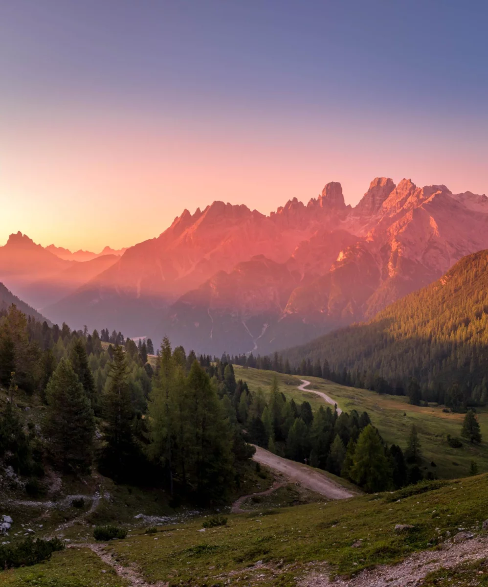 Sposób na to aby  zadbać o rośliny domowe na sto procent!